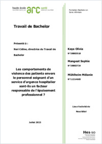 Les comportements de violence - O.Kaya, S.Mangeat, M.Mühlheim.pdf